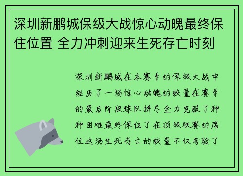深圳新鹏城保级大战惊心动魄最终保住位置 全力冲刺迎来生死存亡时刻